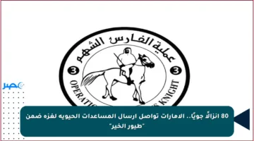 80 إنزالًا جويًا.. الإمارات تواصل إرسال المساعدات الحيوية لغزة ضمن “طيور الخير”